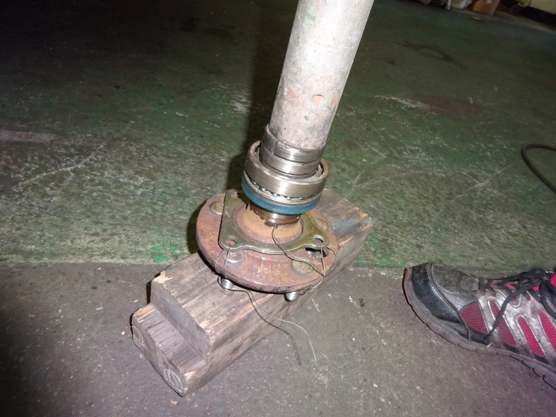 DSC04445